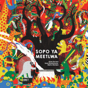 Sopo ya Meetlwa